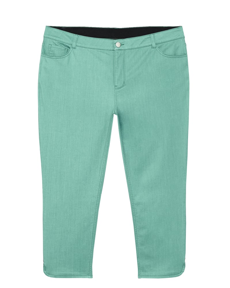 Front of plus size  by Morgan & Walker | Dia&Co | dia_product_style_image_id:122572